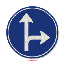 D06r Verkeersbord